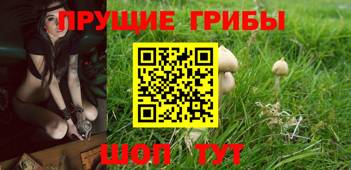 Галлюциногенные грибы прущие грибы  Вход с VPN  Новошахтинск 